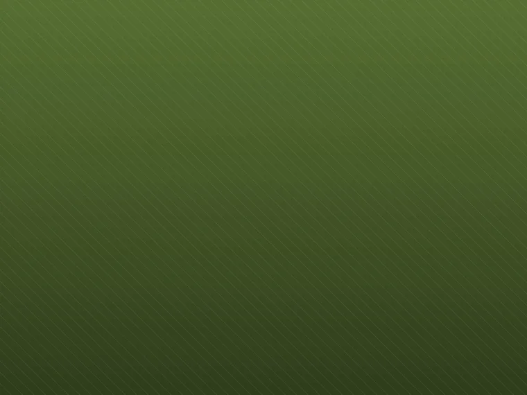Placeholder photo for Phở Chay — Vegetarian Phở
